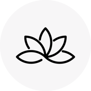 jvjv-1724010067.png