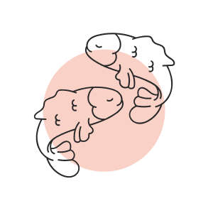 PISCES-ar-1732640847.png