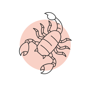 scorpio-ar-1732640846.png