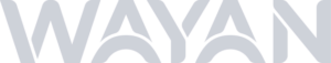 wayan-1-1732295276.png